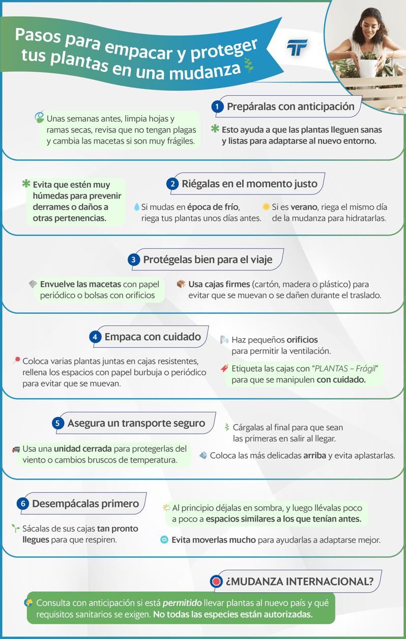 INFOG - Pasos para empacar y proteger tus plantas en una mudanza