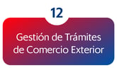 Tabla - RGCE Mexico_Indice_12