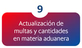 Tabla - RGCE Mexico_Indice_9