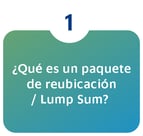iconos indice LUMP SUM-01