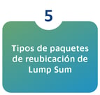 iconos indice LUMP SUM-05