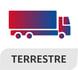 seleccion tipo de transporte infografia-14