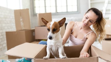 moving-boxes-girl-and-dog-1280x720