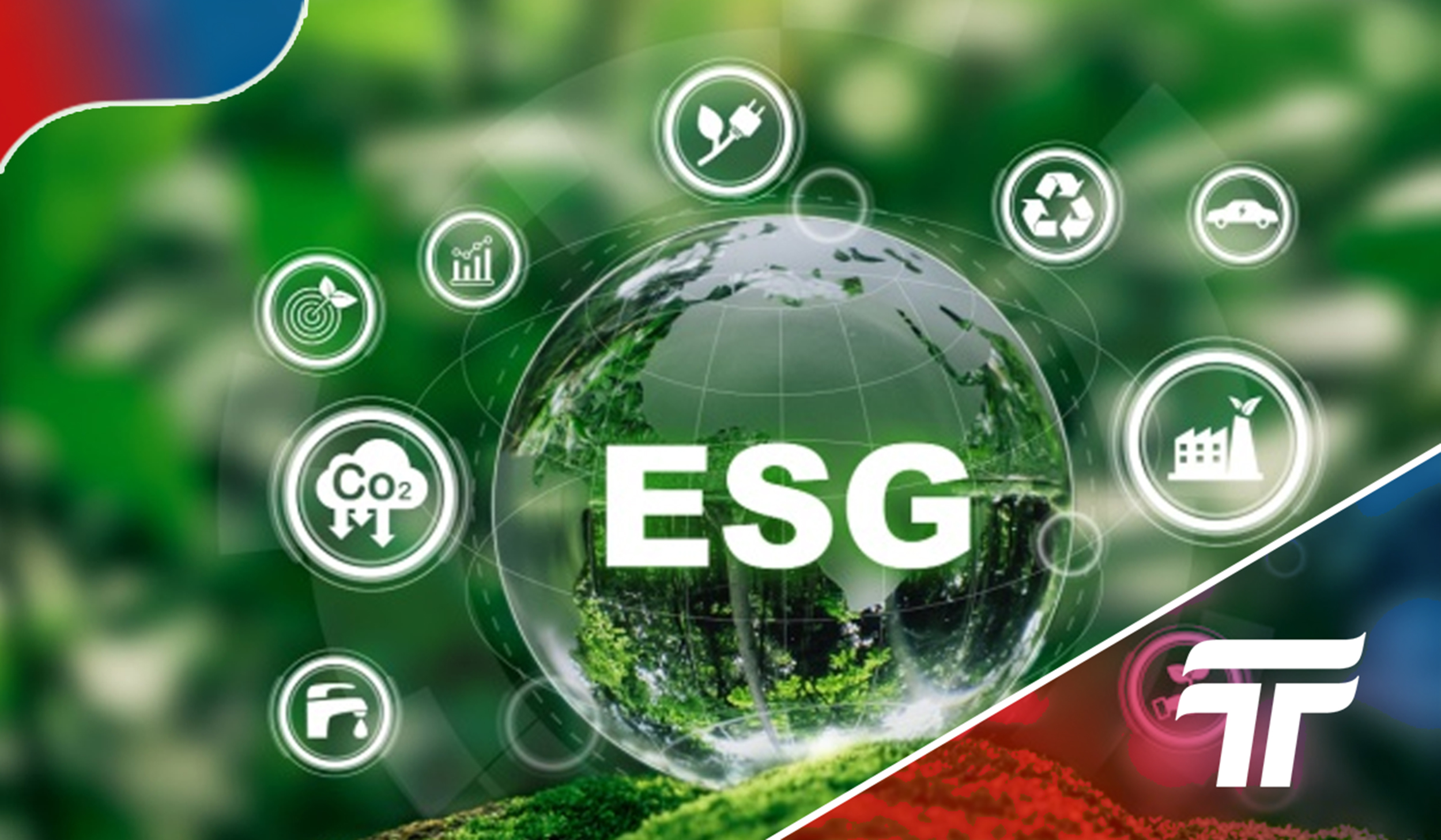 ESG en logística: cómo medir emisiones por embarque sin humo